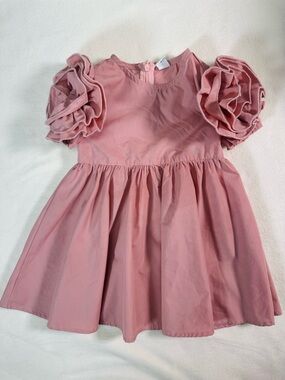 SHEIN Toddler Ruffle Sleeve Dusty Rose Dress Size 18-24M